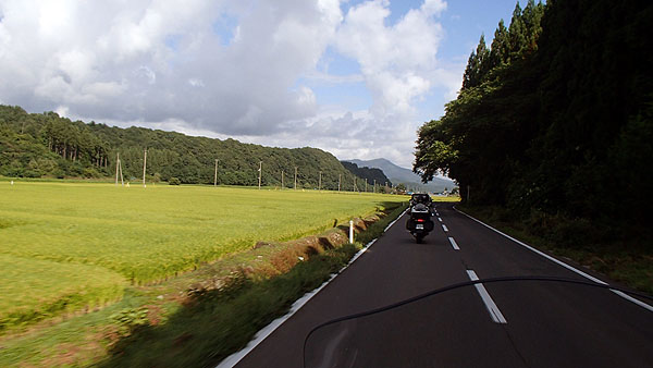 国道３４１号線